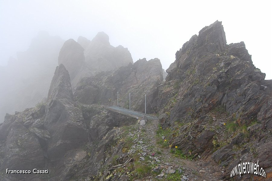 12 Ormai è scesa la nebbia sul sentiero.jpg